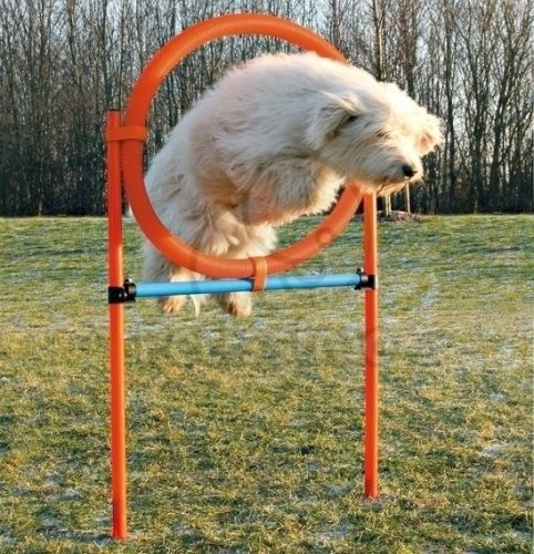 Trixie Agility - karika (ugró akadály)  115x3x65 cm