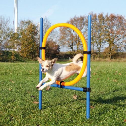 Trixie Agility - karika (ugró akadály)  115x3x65 cm