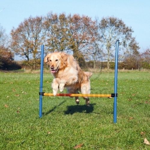 Trixie Agility - ugró akadály  125x115x3 cm