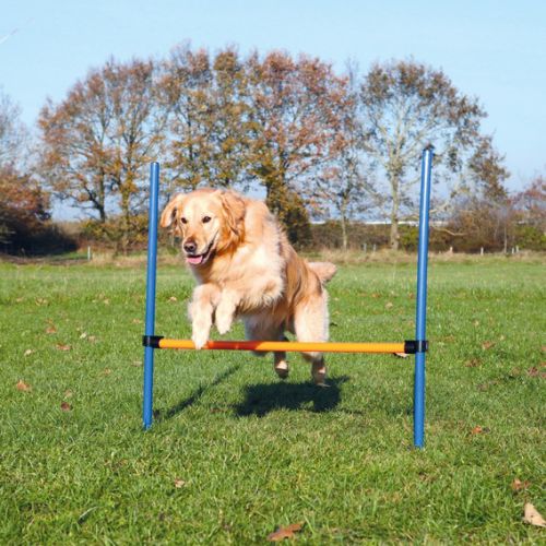 Trixie Agility - ugró akadály  125x115x3 cm