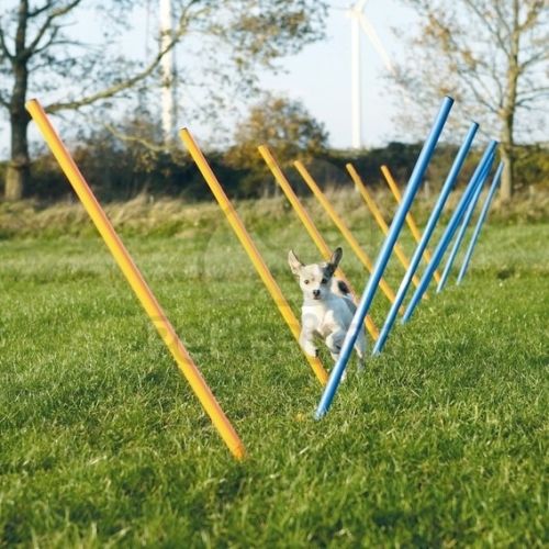 Trixie Agility - szlalom  115x3 cm