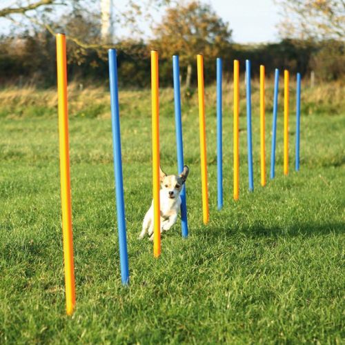 Trixie Agility - szlalom  115x3 cm
