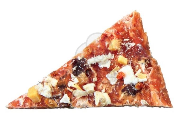 Trixie Premio Chicken Pizza Light  100 g