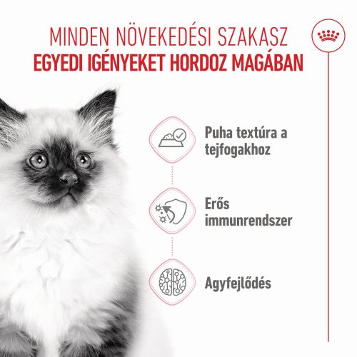 Royal Canin Kitten Jelly - kölyök macska zselés nedves táp  85 g