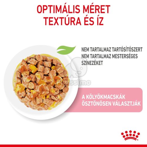 Royal Canin Kitten Jelly - kölyök macska zselés nedves táp  85 g