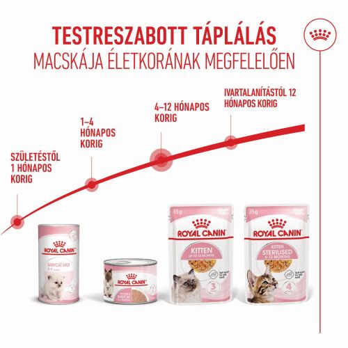Royal Canin Kitten Jelly - kölyök macska zselés nedves táp  85 g