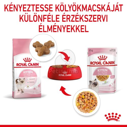 Royal Canin Kitten Jelly - kölyök macska zselés nedves táp  85 g