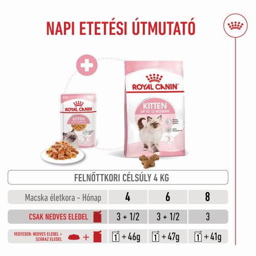 Royal Canin Kitten Jelly - kölyök macska zselés nedves táp  85 g