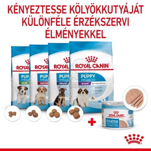 Royal Canin Starter Mother & Babydog Mousse - kölyök kutya pépes nedves táp  195 g
