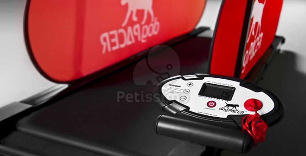 dogPACER futópad  80 kg