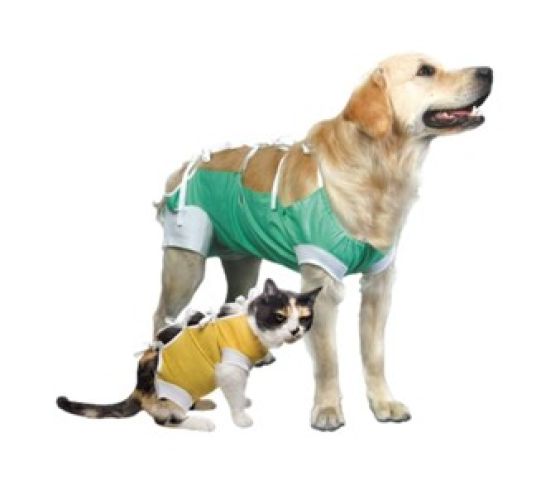 Kuna műtét utáni ruha - szuka kutyáknak s   1 db