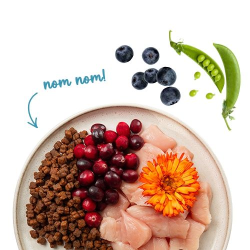 Bosch Sanabelle Kitten Huhn & Preiselbeeren  2 kg