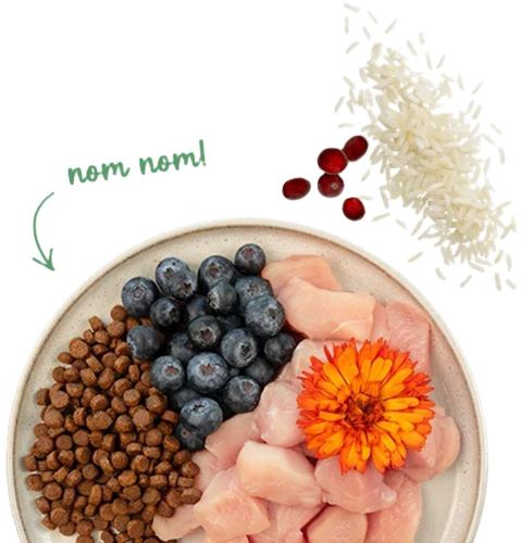 Bosch Sanabelle Sensitive Huhn  2 kg