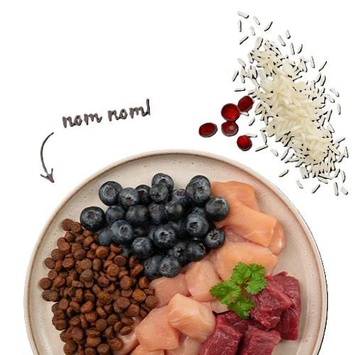 Bosch Sanabelle Sensitive Lamm  2 kg