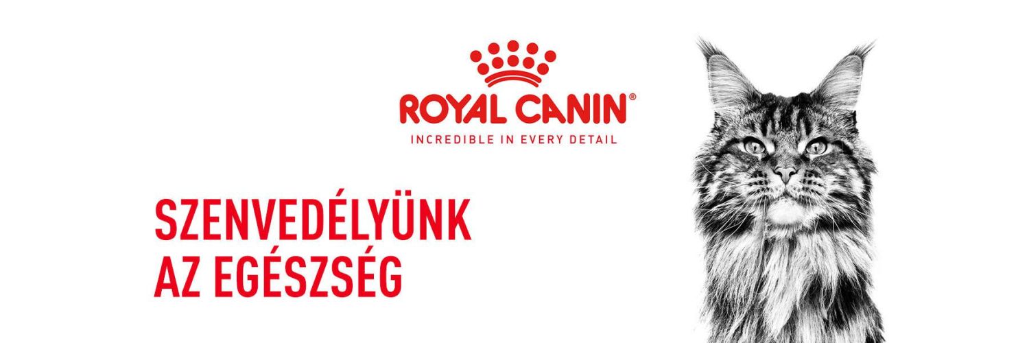 Royal Canin Bengal Adult - Bengáli felnőtt macska száraz táp  2 kg
