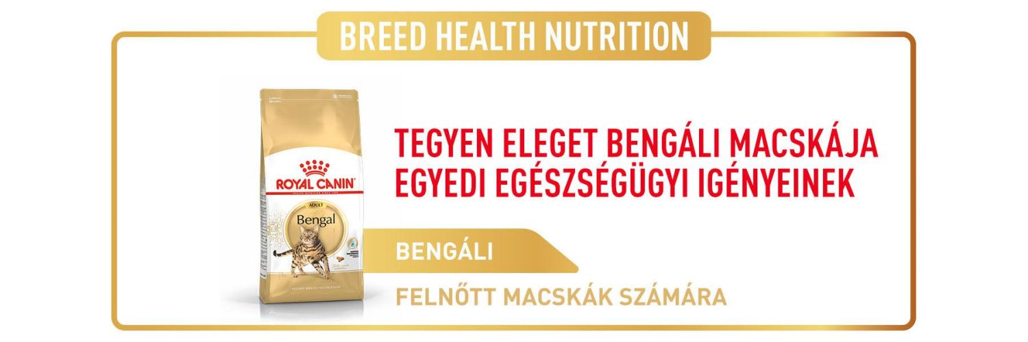 Royal Canin Bengal Adult - Bengáli felnőtt macska száraz táp  2 kg