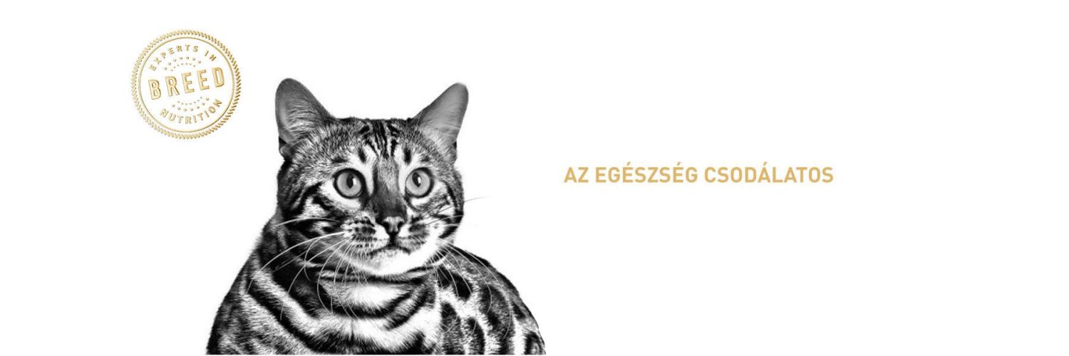 Royal Canin Bengal Adult - Bengáli felnőtt macska száraz táp  2 kg