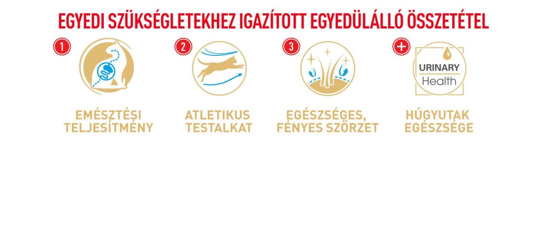 Royal Canin Bengal Adult - Bengáli felnőtt macska száraz táp  2 kg