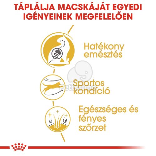 Royal Canin Bengal Adult - Bengáli felnőtt macska száraz táp  2 kg