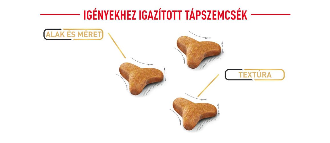 Royal Canin Bengal Adult - Bengáli felnőtt macska száraz táp  2 kg