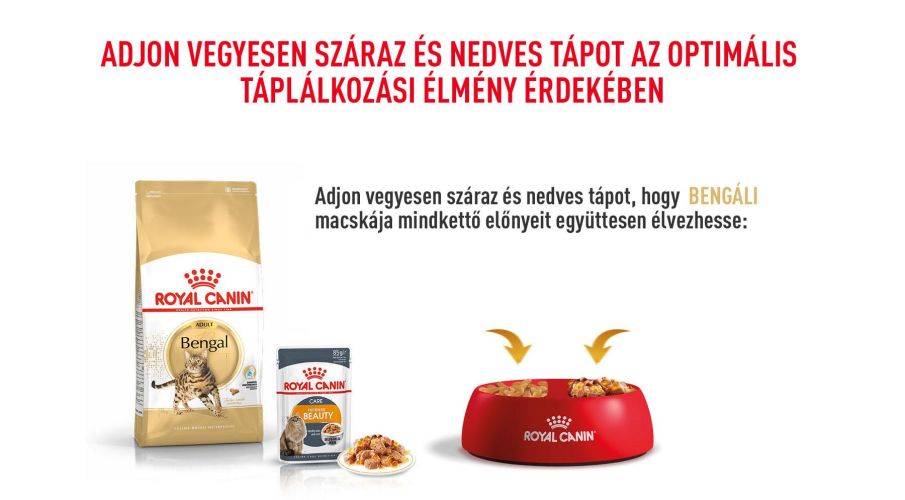 Royal Canin Bengal Adult - Bengáli felnőtt macska száraz táp  2 kg