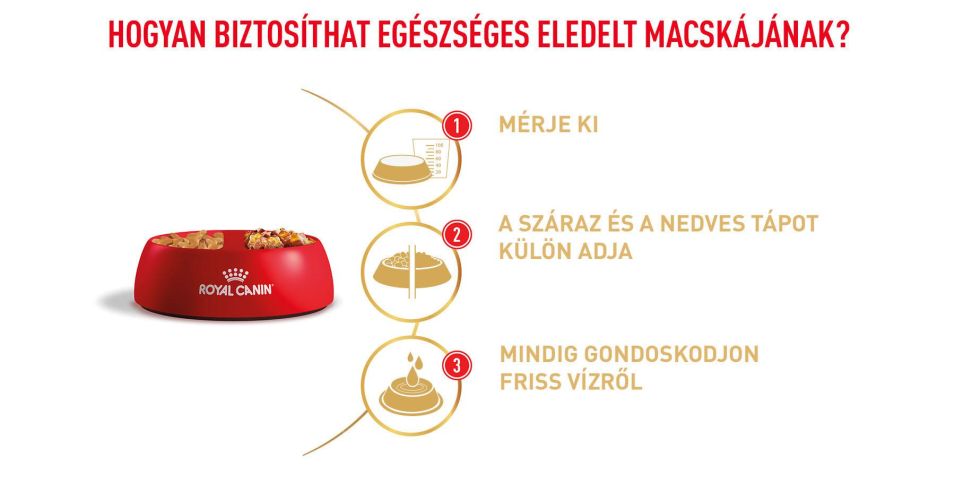 Royal Canin Bengal Adult - Bengáli felnőtt macska száraz táp  2 kg