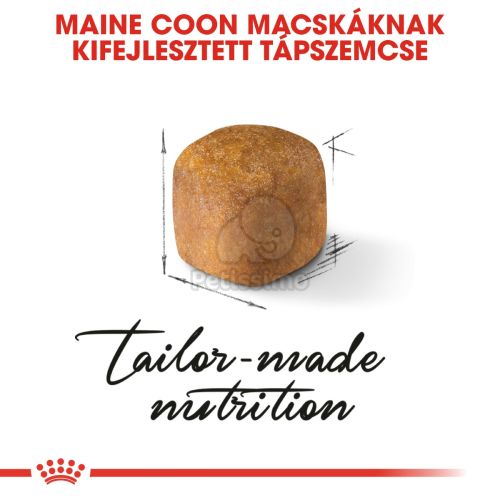 Royal Canin Maine Coon Kitten - Maine Coon kölyök macska száraz táp  2 kg