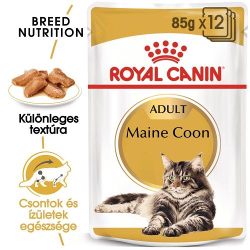 Royal Canin Maine Coon Adult - Maine Coon felnőtt macska nedves táp  85 g