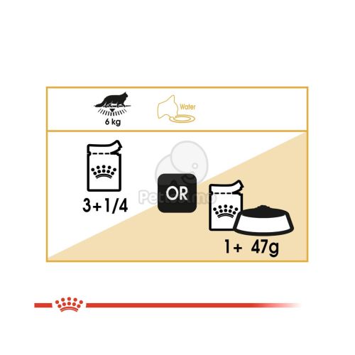 Royal Canin Maine Coon Adult - Maine Coon felnőtt macska nedves táp  85 g