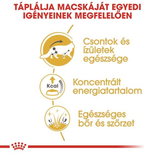 Royal Canin Maine Coon Adult - Maine Coon felnőtt macska nedves táp  85 g