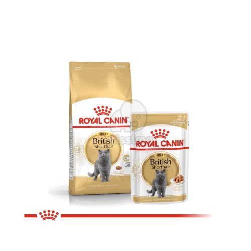 Royal Canin British Shorthair Adult - Brit rövidszőrű felnőtt macska nedves táp  85 g