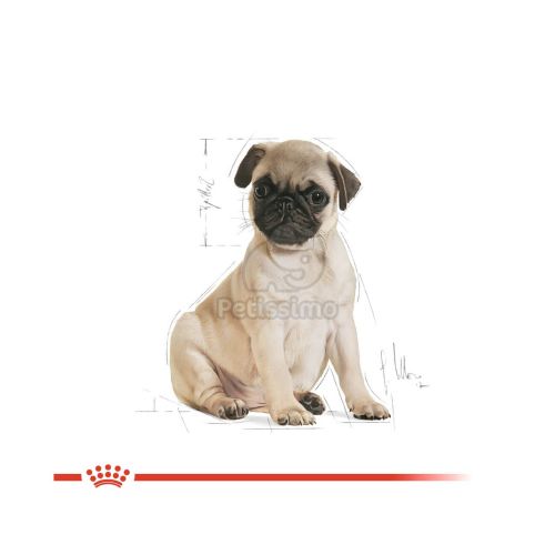 Royal Canin Pug Puppy - Mopsz kölyök kutya száraz táp  500 g