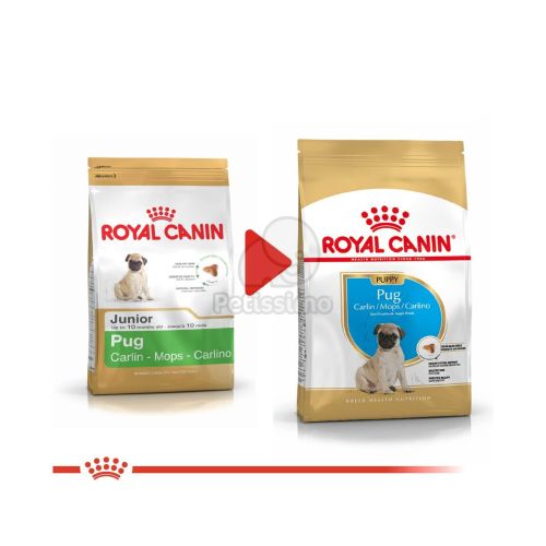 Royal Canin Pug Puppy - Mopsz kölyök kutya száraz táp  500 g