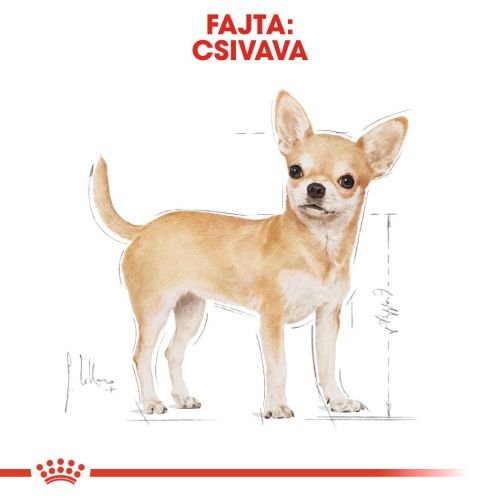 Royal Canin Chihuahua Adult - Csivava felnőtt kutya nedves táp  85 g