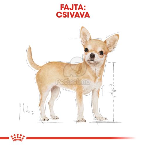 Royal Canin Chihuahua Adult - Csivava felnőtt kutya nedves táp  85 g