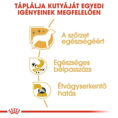 Royal Canin Chihuahua Adult - Csivava felnőtt kutya nedves táp  85 g