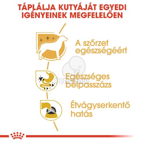 Royal Canin Chihuahua Adult - Csivava felnőtt kutya nedves táp  85 g