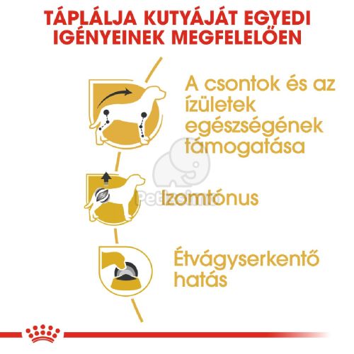 Royal Canin Dachshund Adult - Tacskó felnőtt kutya nedves táp  85 g