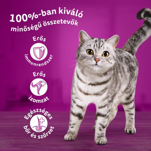 WHISKAS alutasakos eledel válogatás szárnyas ízesítésben felnőtt macskák részére 12 x  85 g