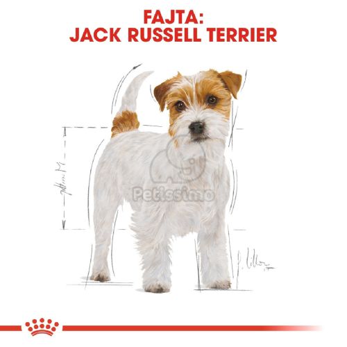 Royal Canin Jack Russell Terrier Adult - Jack Russell Terrier felnőtt kutya száraz táp  1.5 kg