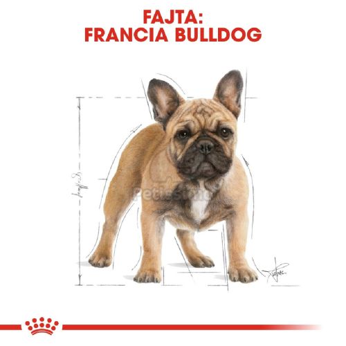 Royal Canin French Bulldog Adult - Francia Bulldog felnőtt kutya száraz táp  9 kg