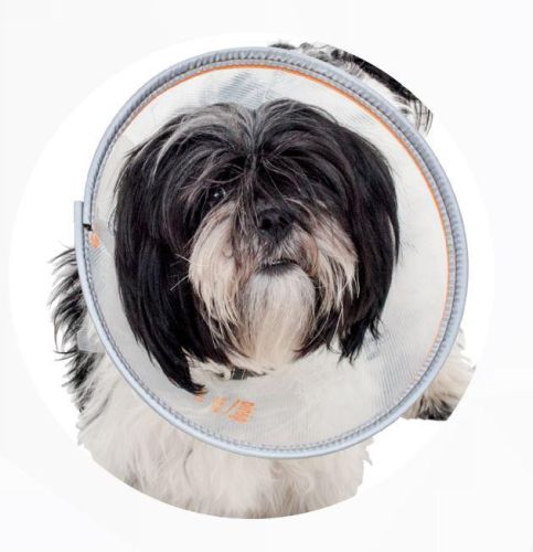 Műtéti gallér Neocol 10 cm   1 db