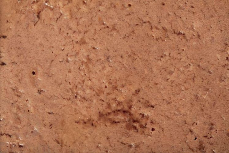 Specific FGW Senior konzervpástétom 7 x  100 g