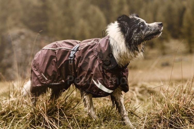 Hurtta Torrent kutyaruha - fekete  20 cm