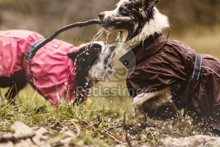 Hurtta Torrent kutyaruha - fekete  90 cm