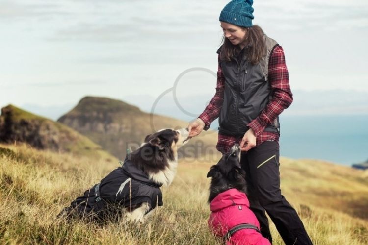 Hurtta Summit Parka kutyaruha - fekete  20 cm