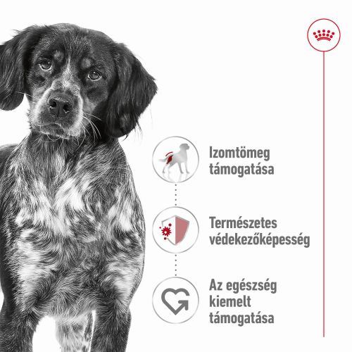 Royal Canin Medium Adult - közepes testű felnőtt kutya száraz táp  15+3 kg