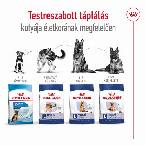 Royal Canin Maxi Adult - nagytestű felnőtt kutya száraz táp  15+3 kg