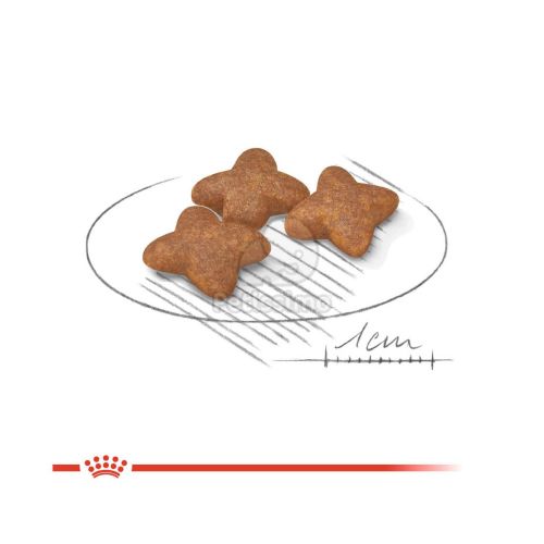 Royal Canin Mini Adult - kistestű felnőtt kutya száraz táp  8+1 kg