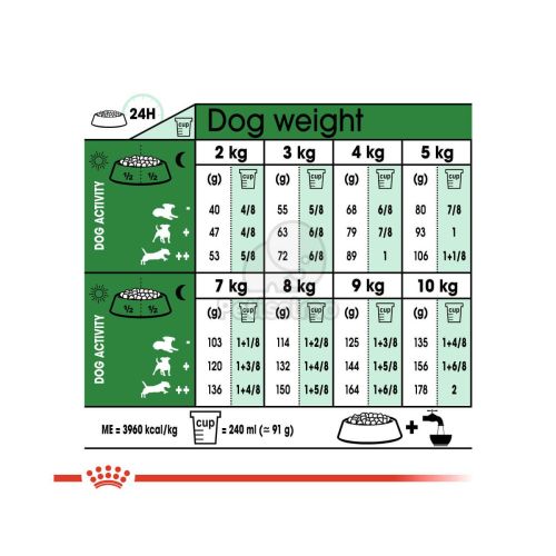 Royal Canin Mini Adult - kistestű felnőtt kutya száraz táp  8+1 kg